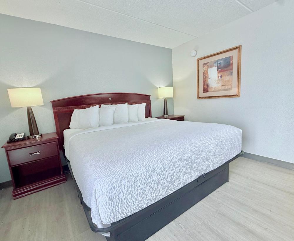 King Room - Pet Friendly/Non-Smoking interior